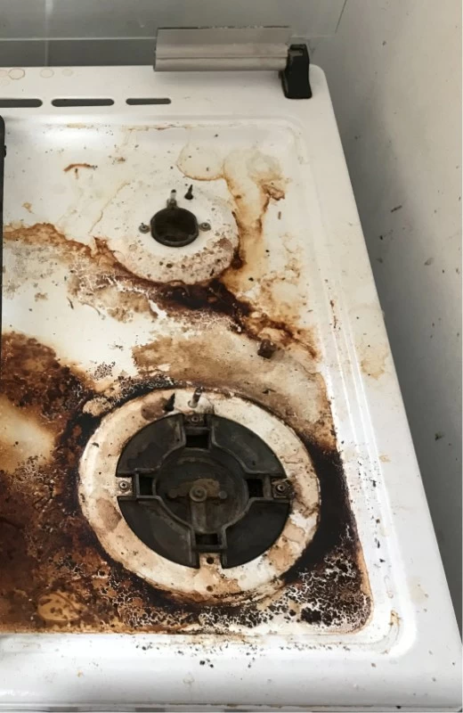 Before steam cleaning